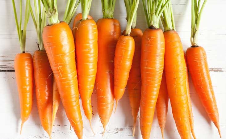 هایپر تره بار | کاشت هویج